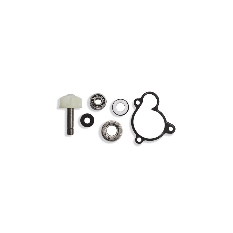 Komplet za popravilo vodne črpalke Vicma 8003 razprodaja