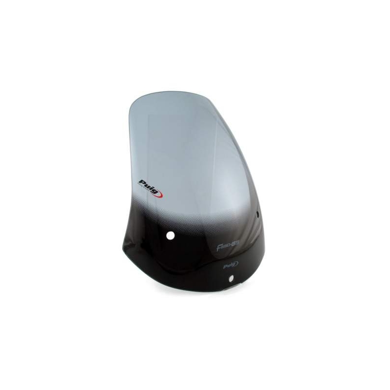 Pleksi steklo za Puig-BMW F650 GS (00-03) TOURING