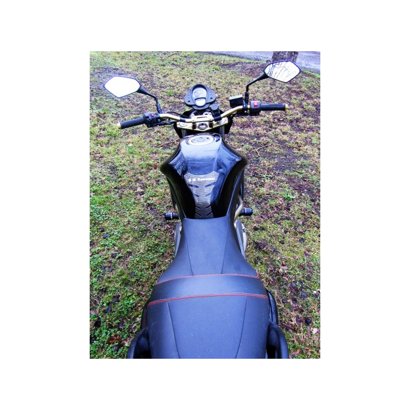 Kawasaki ER-6N (06-12) Classic