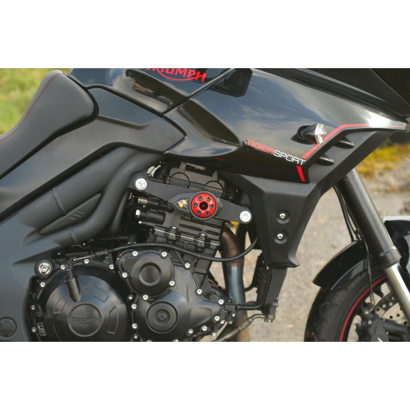 Triumph TIGER SPORT 1050 (13-) Strela