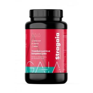 Instant hrana GAIA Stragaia 1 kg jagod
