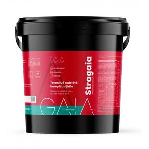 Instant hrana GAIA Stragaia 4 kg jagode