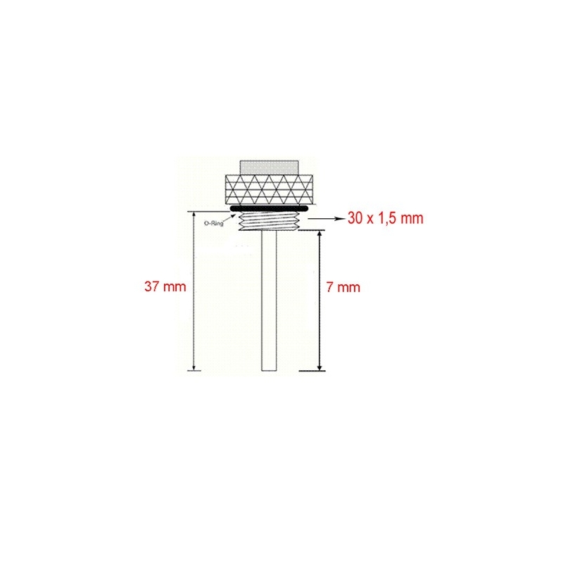 Termometer za olje JMT Kawasaki